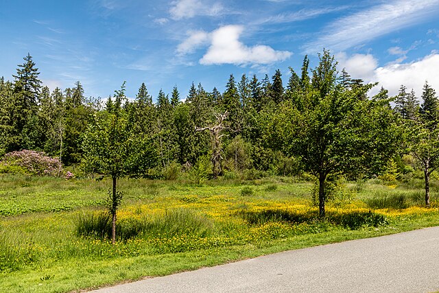 Why Vancouver is North America’s Most Liveable City - Emerald City ...