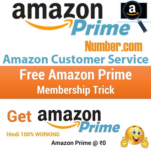 Amazon Phone Number for Amazon Prime Customer Service Posts by Rinki