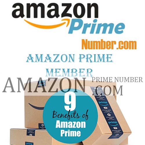 Amazon Customer Service USA Phone Number Posts by Rinki Singh